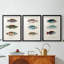 Antique Fish Trio I - Impression personnalisée de qualité supérieure avec cadre mat - 3 pièces-1766832623-1766832622