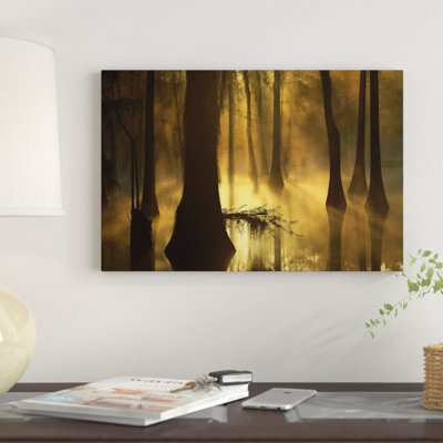 Bald Cypress Grove In Freshwater Swamp At Dawn, Lake Fausse Pointe, Louisiana I by Tim Fitzharris - Gallery-Wrapped Canvas Giclée