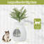 Plastic Litter Box Enclosure