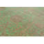 Wool Oriental Area Rug in Green