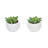 3'' Faux Succulent in Ceramic Pot