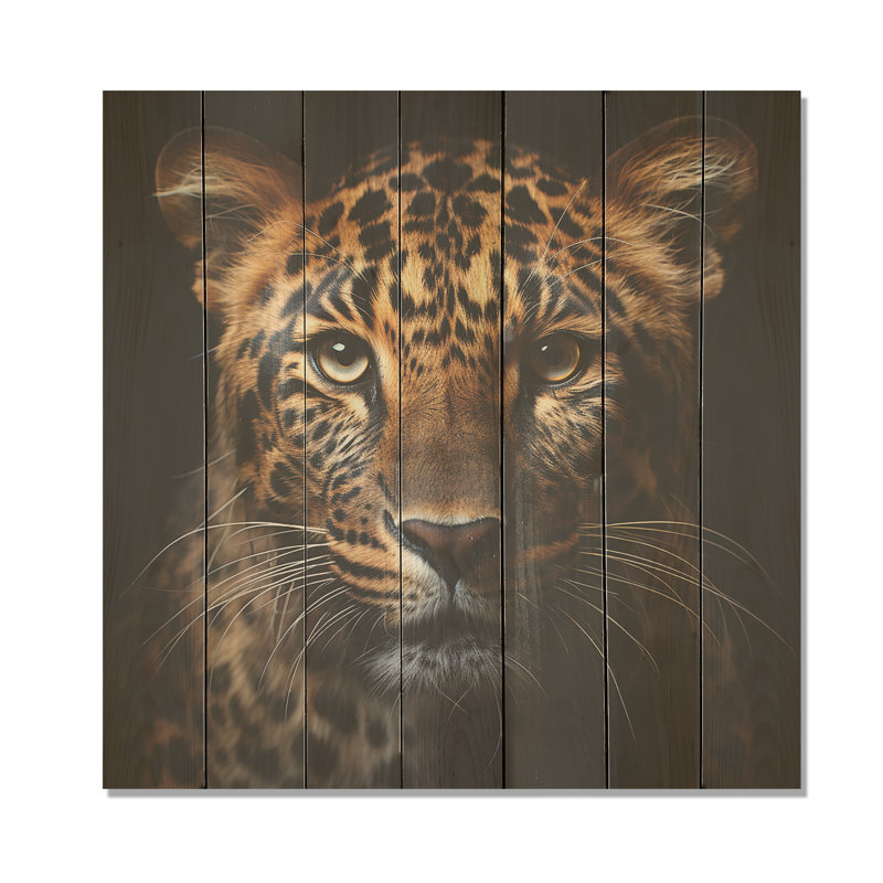 Léopard dans la nature au coucher du soleil II - léopard / guépard sur bois, H 15 po x l 15 po