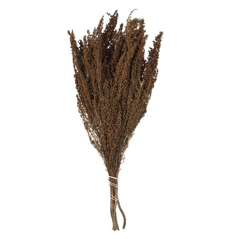 Vickerman 18-20" Brown Heather - 4-5 oz Bundle, Preserved