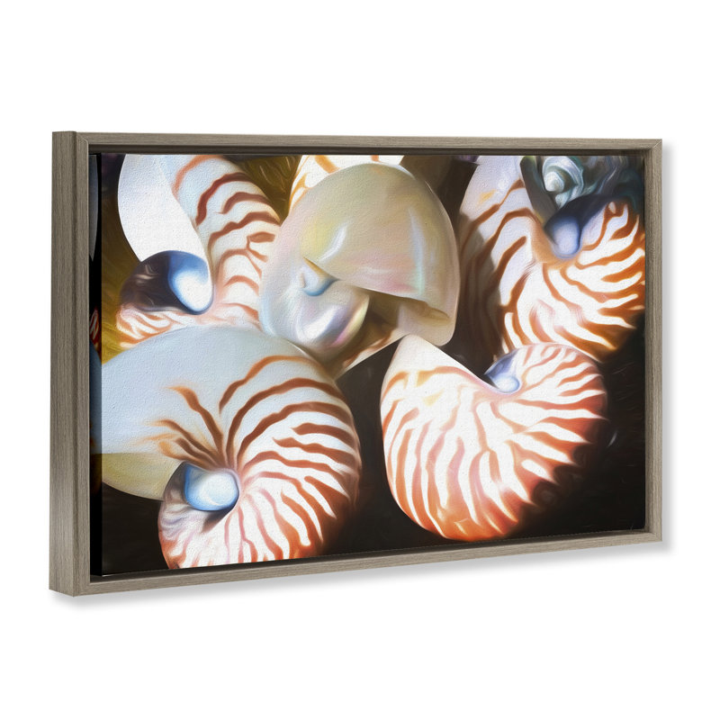  Nautilus Shells Cluster Framed Floater Canvas by Graffi*tee Studios, Montalcino Elm Floater Frame, 21" H x 31" W