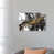 Toile tendue