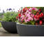 Jodelle Fibreglass Planter-17036514