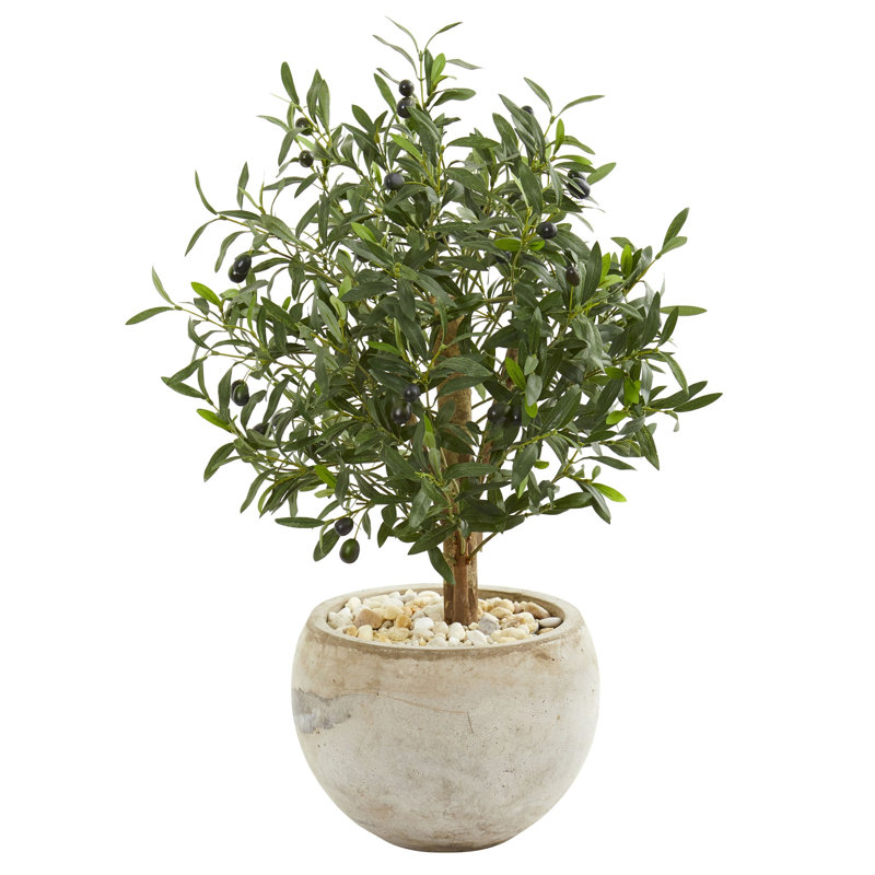 Artificial Olive Tree in Bowl Planter