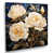 Toile tendue