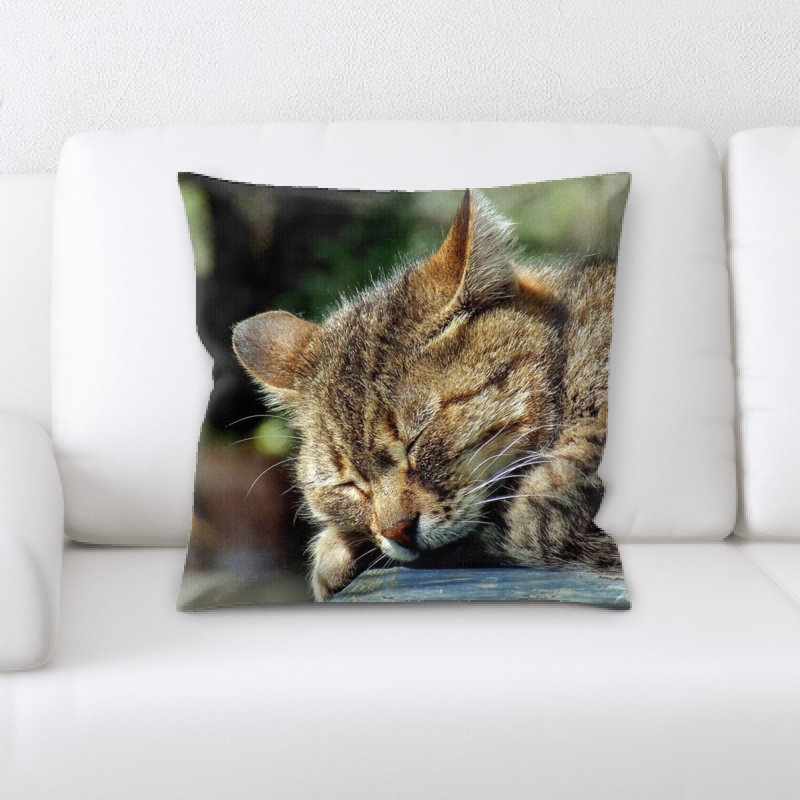 Coussin pour chat