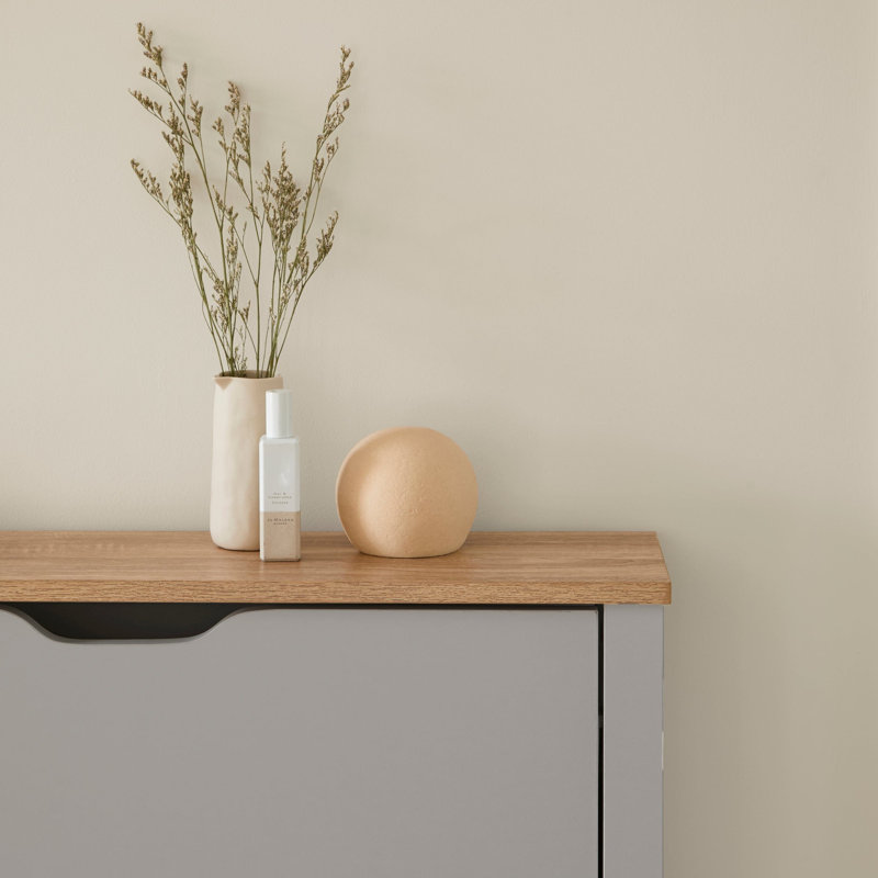 Suseela 16 Pair Shoe Storage Cabinet