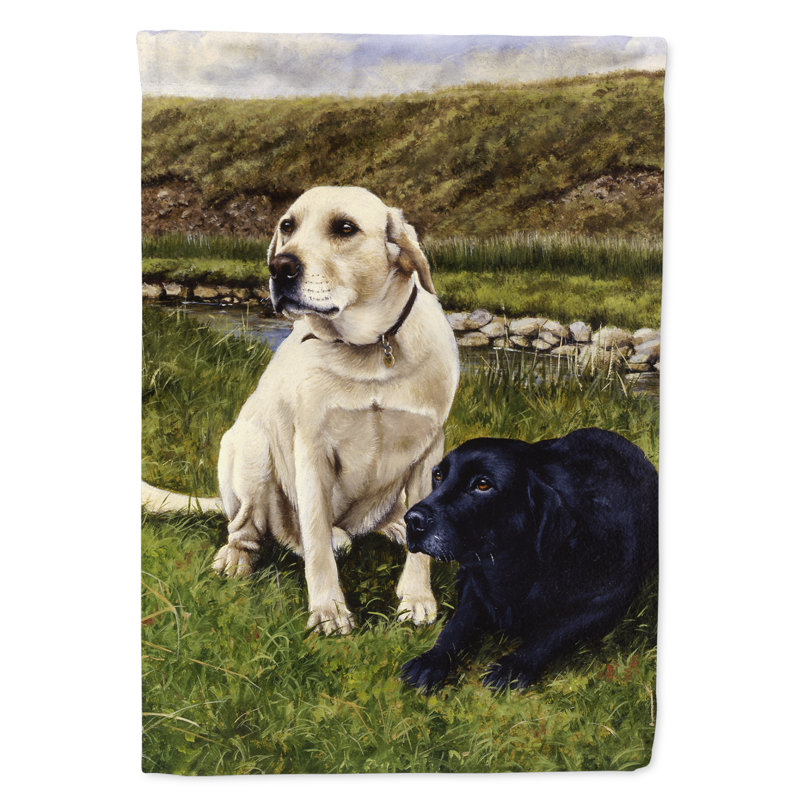 Drapeau de jardin 2 côtés jaune et noir labradors, H 28 po x l 40 po