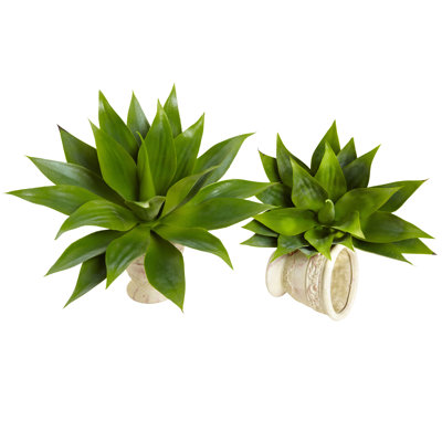 Ensemble 2 pièces d’agave artificielle