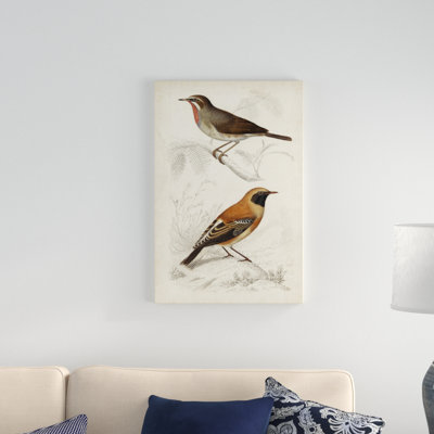 Peinture sur toile, D'orbigny Birds VI