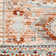 Aldusa Oriental Indoor Rug
