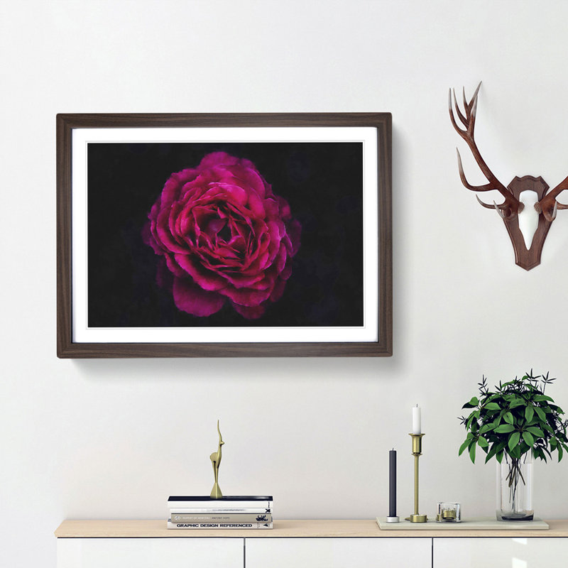 Fuscia Pink Carnation - Picture Frame Graphic Art Print, 62cm H x 87cm W x 2cm D, Walnut Framed