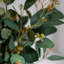 Branche d'eucalyptus artificiel Audet (1 tige)-640572625