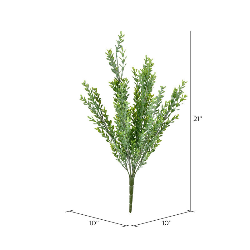 Buisson de criquet