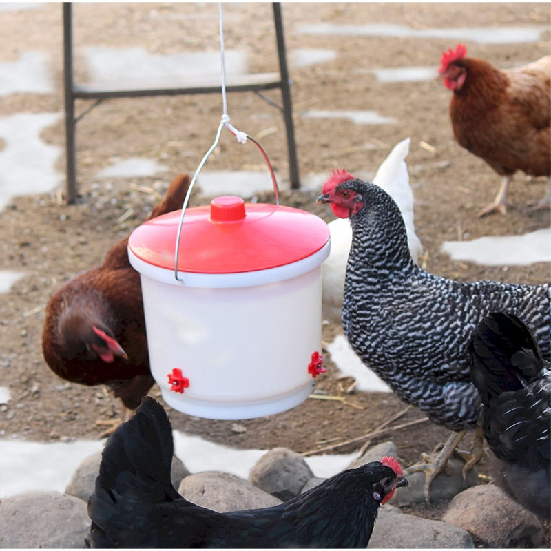 Plastic Waterer