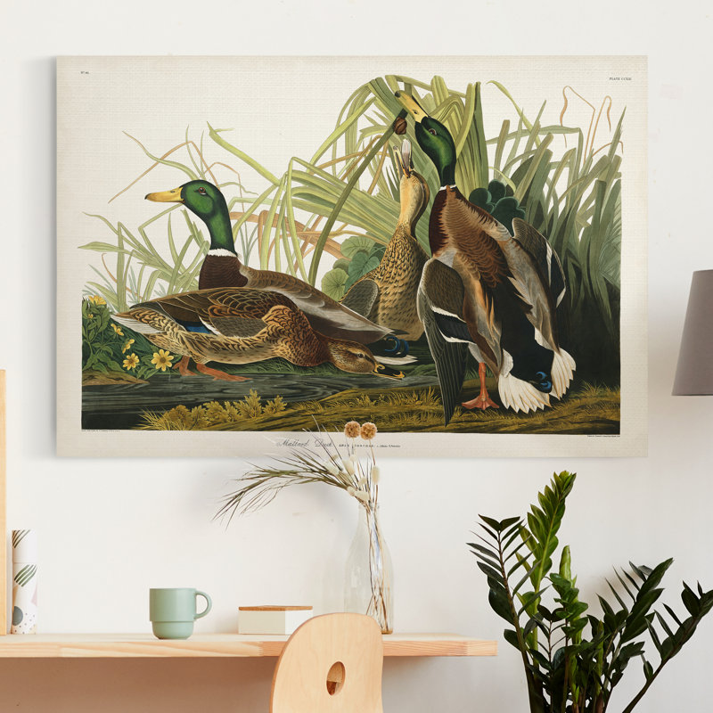 « Pl 221 Mallard Duck », reproduction d’art sur toile tendue, H 12 po x l 8 po x P 1 po