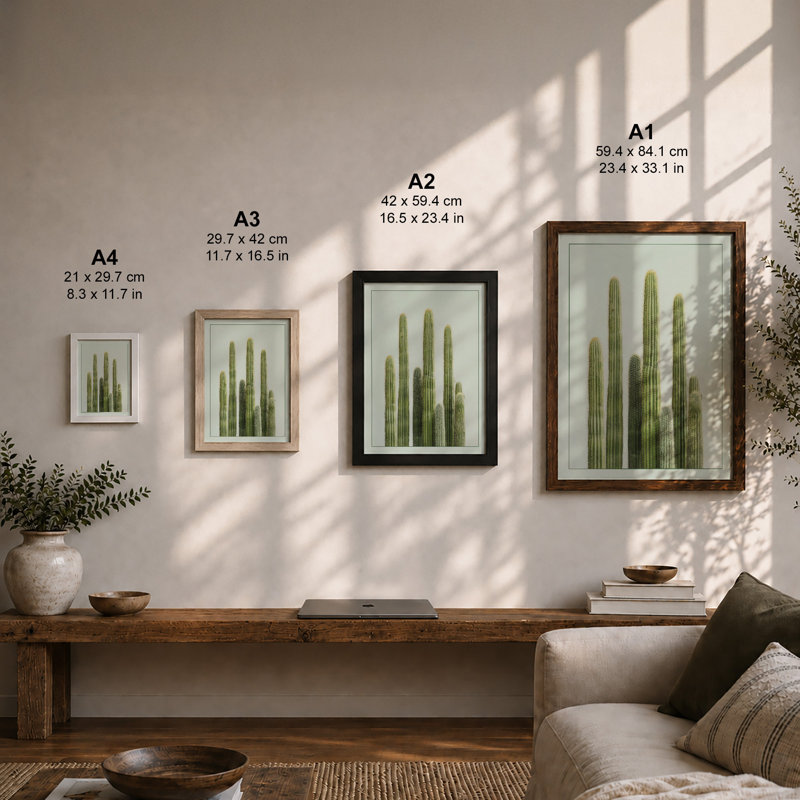 Columnar Cacti Study Botanical - Framed Print, A4 - 29.7 x 21.0 cm, White
