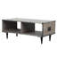 Table basse avec rangement Dayshanay-636867810