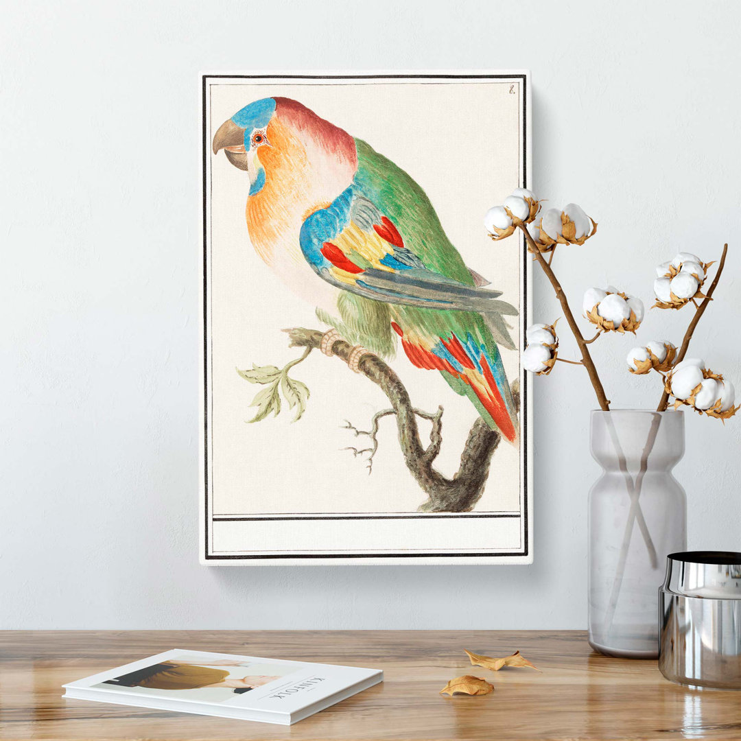The Parrot by A.B. De Boodt - Wrapped Canvas