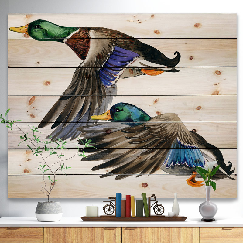 Canard coloré dessiné à la main, œuvre d’art blanche isolée-imprimé Sketch, H 36 po x l 46 po x P 1,5 po, Bois
