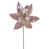 Or rose