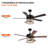 Fells 52'' Ceiling Fan with Light Kit