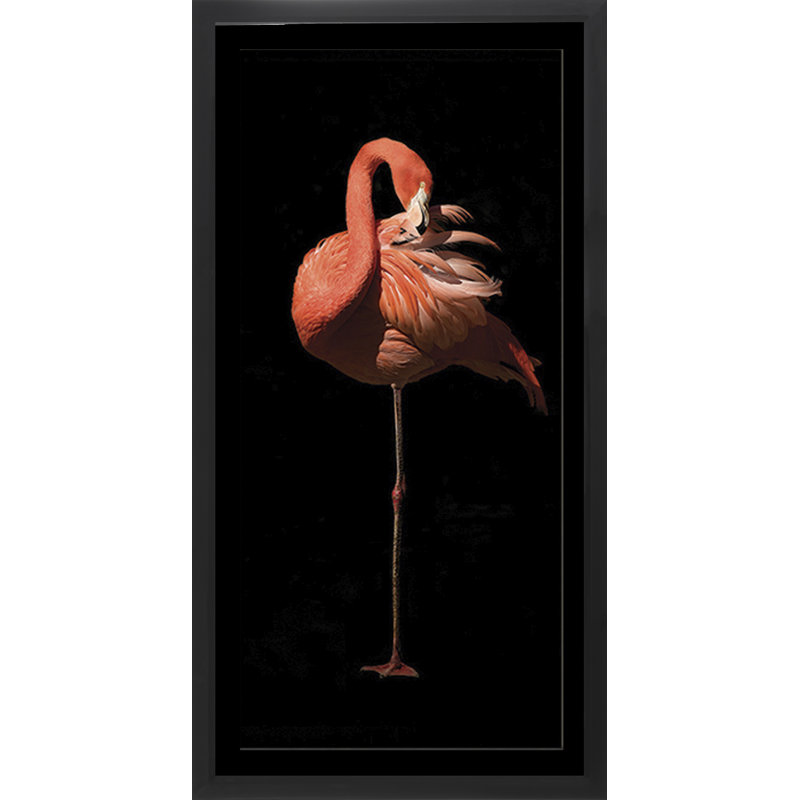 Flamingo 12 - Single Picture Frame Print