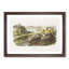 White-Footed Mice by J.W. Audubon - Picture Frame Painting Print-55612263-55612264