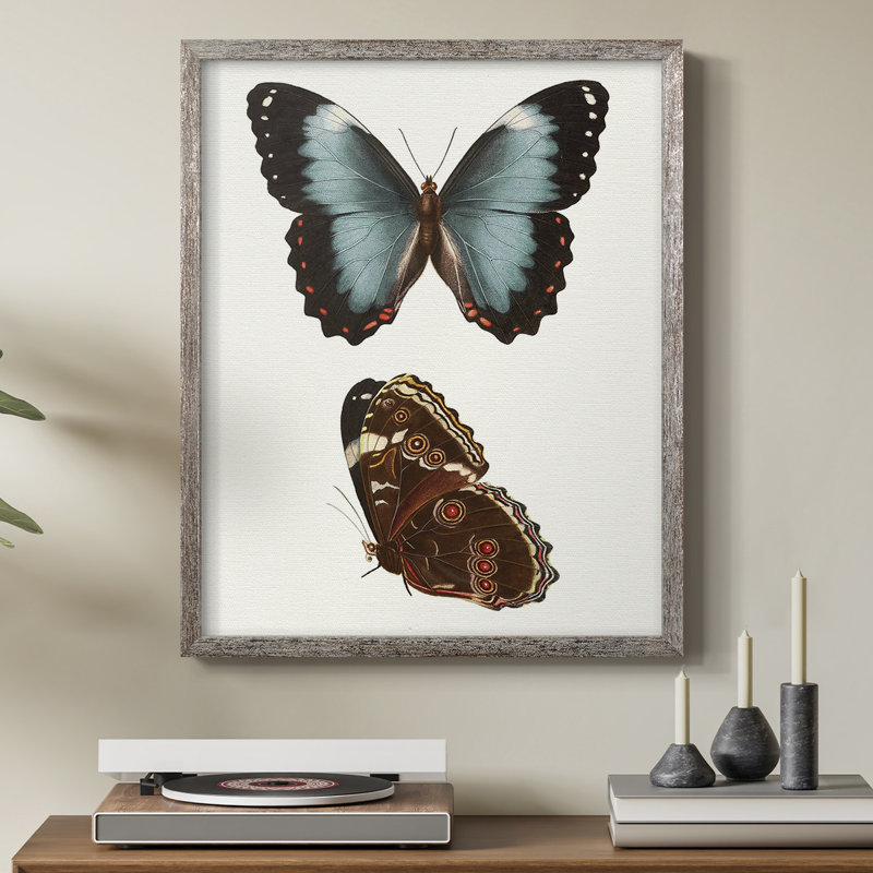Reproduction encadrée de papillons bleus antiques IV - bois massif, H 15 po x l 12 po