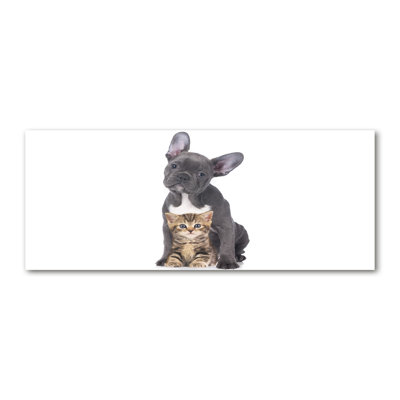 Dog And Cat - Wrapped Canvas Print