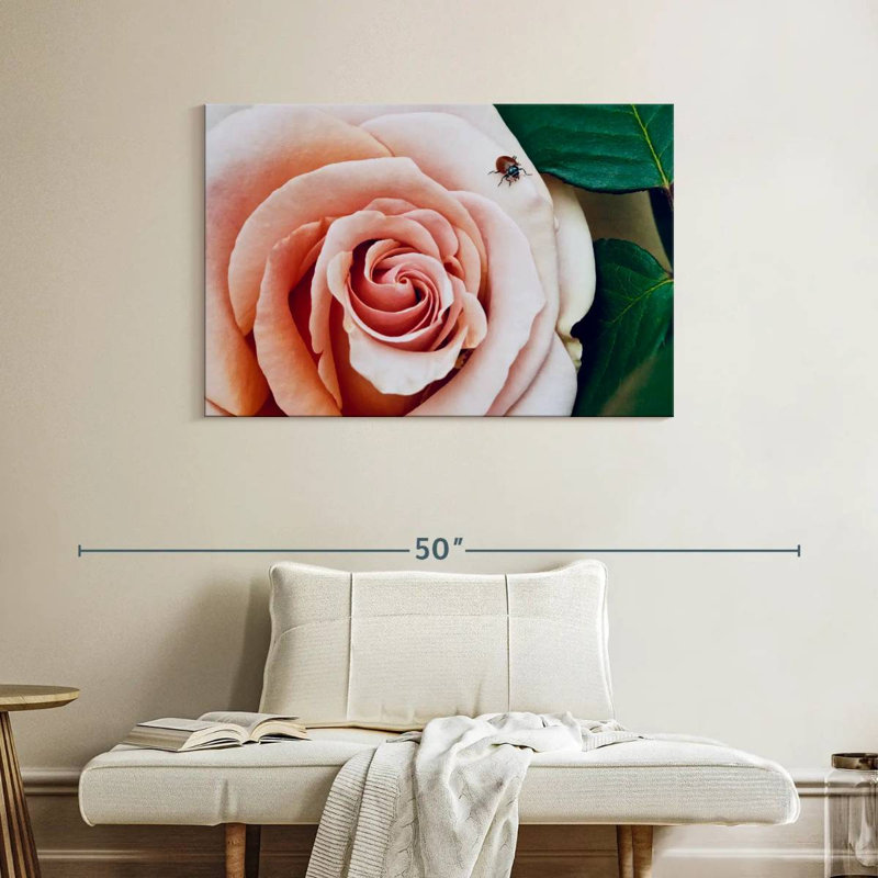 Coccinelle Brampt sur une rose II, H 26 po x l 39 po