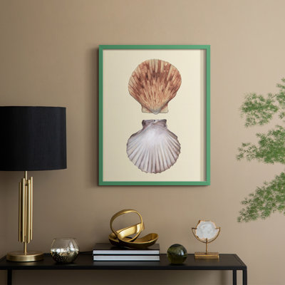 Reproduction encadrée de coquilles bivalves III - bois massif