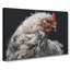 White Hen In Abstract - Wrapped Canvas-55301785