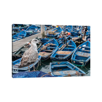 Africa, Morocco, Essaouira. Close-up of Seagull and Moored Boats. 1 Piece Wrapped Canvas Wall Art