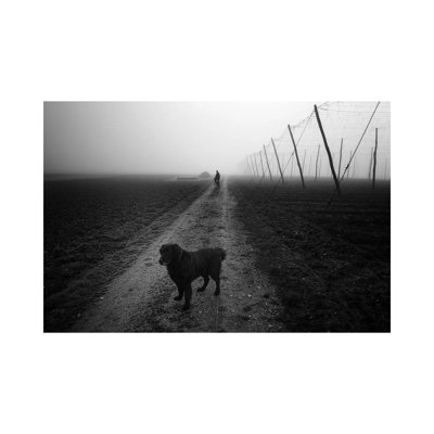 Waiting For A Friend by Jure Kravanja - Wrapped Canvas Print