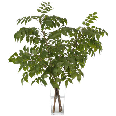 Wisteria Leaf, Green, Glass Vase, 30wx26dx35h