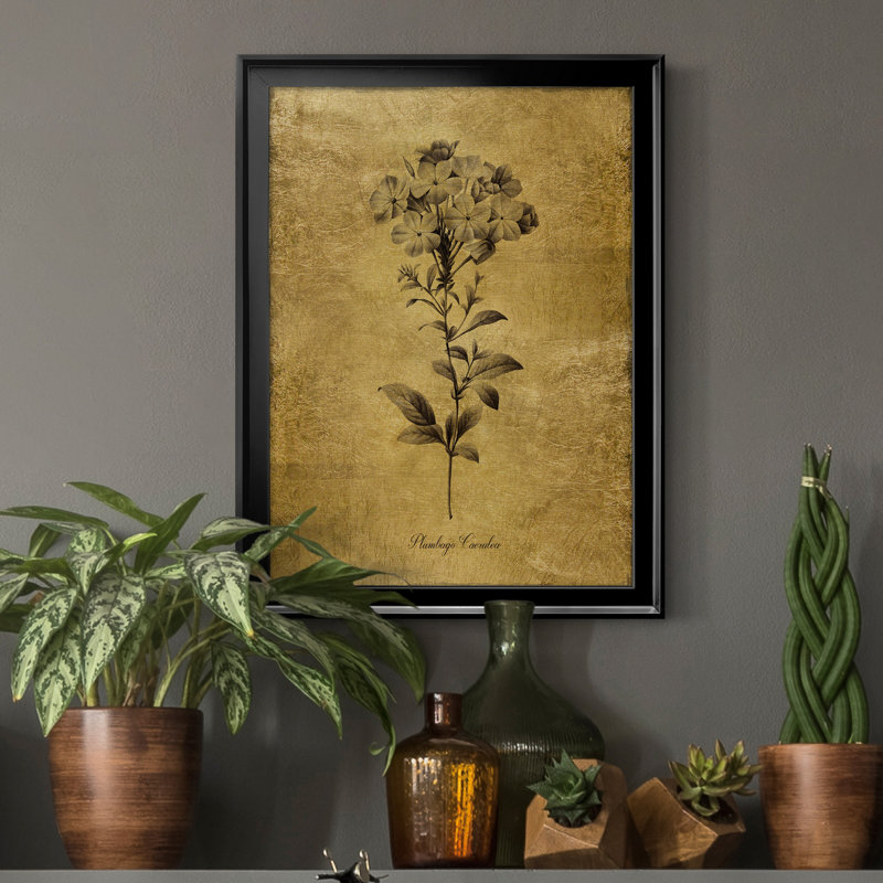 Ameelya, croquis dorés botaniques II, impression sur toile encadrée, Noir, H 22,5 po x l 30,5 po x P 1,5 po