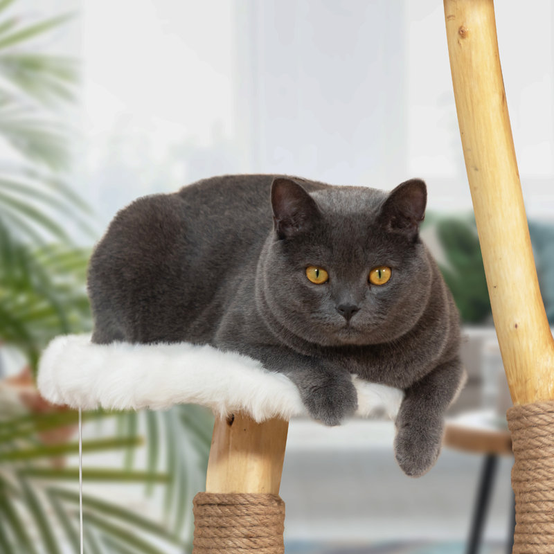 Real Branch Cat Tree With Condo And Climbing Perches