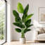 Arbre de paradis artificiel 6 pi en pot de ciment noir - Fausse plante tropicale pour la décoration intérieure-1131895827-1131895830