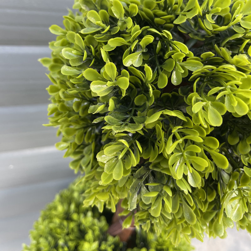 Anlin Faux Topiary Tree in Pot, 90 cm x 25 cm