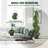 Primrue Artificial Boxwood Topiary in Pot-636577803