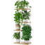 Étagère d'angle à 4 niveaux en métal blanc pour plantes, idéale pour présenter plusieurs plantes.-438372518