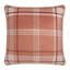 Forest Animals Animal Print Square Cushion Cover-104950286