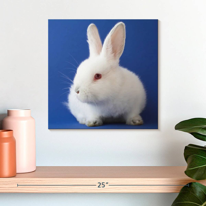 Brampt, lapin blanc sur fond bleu, H 16 po x l 16 po