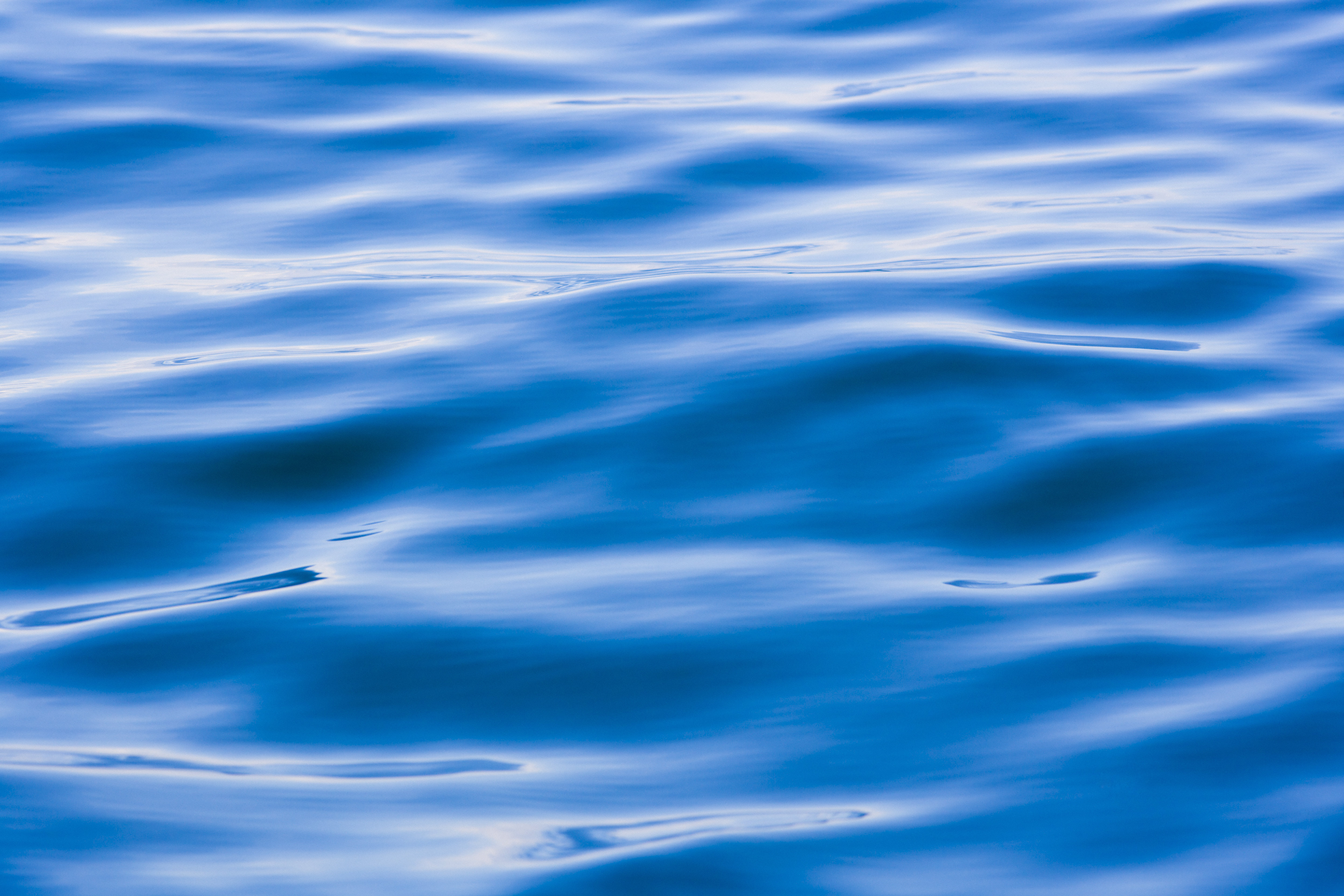 Highland Dunes Deep Ocean Abstract by Robh | Wayfair