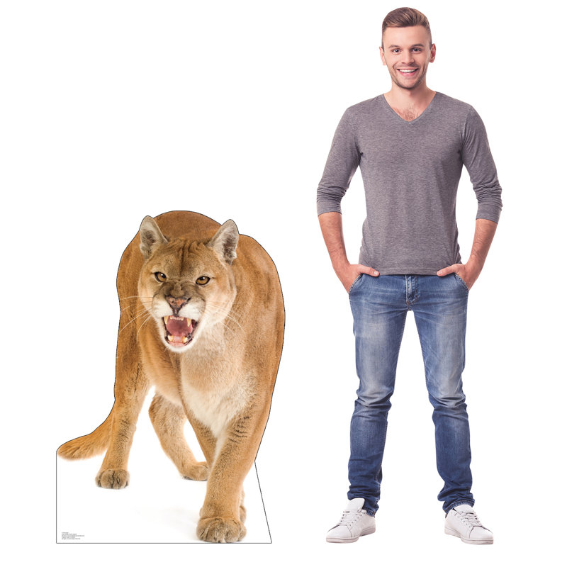 Cougar