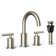 Celestine Widespread 2-handle Bathroom Faucet with Drain Assembly